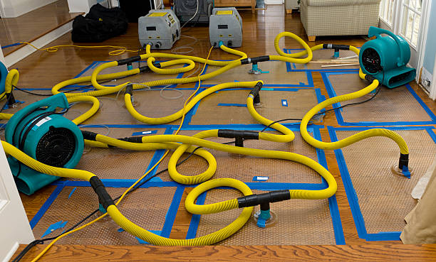 Professional Burst Pipe Water Damage technician working in Riverton, IL